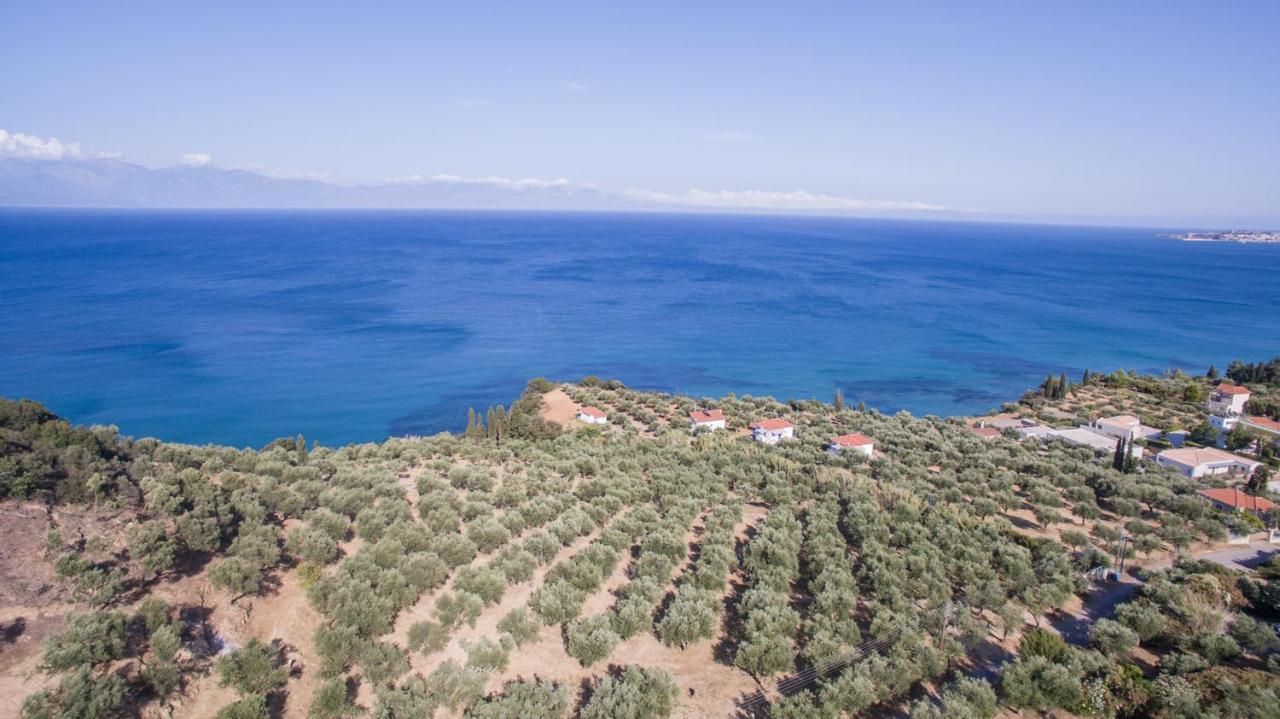Κτήμα Παπαβασιλόπουλος 2 - Villa Koróni Dış mekan fotoğraf